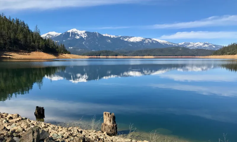 Angler's Dream Destination