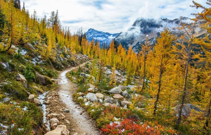Cutthroat Pass (PCT / North Cascades), Oct 3–13
