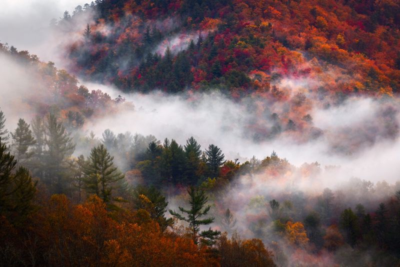 Great Smoky Mountains' Misty Magic