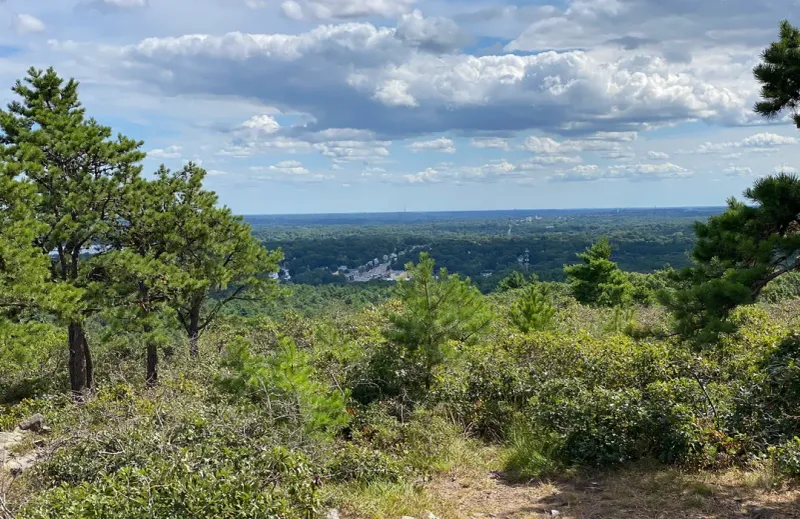 Blue Hills Reservation - Great Blue Hill via Skyline Trail (Milton)
