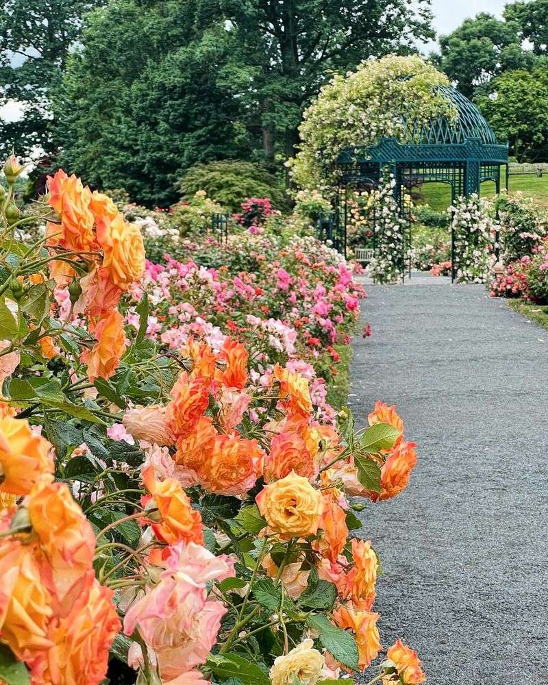 Master Garden Photography Techniques