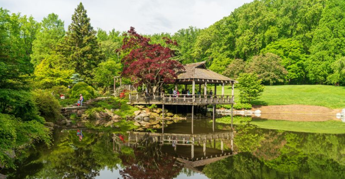 Brookside Gardens Maryland A Lush Oasis Of Color And Calm
