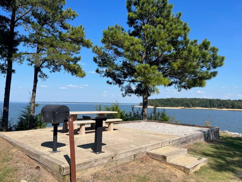 Lakeside Picnic Gatherings