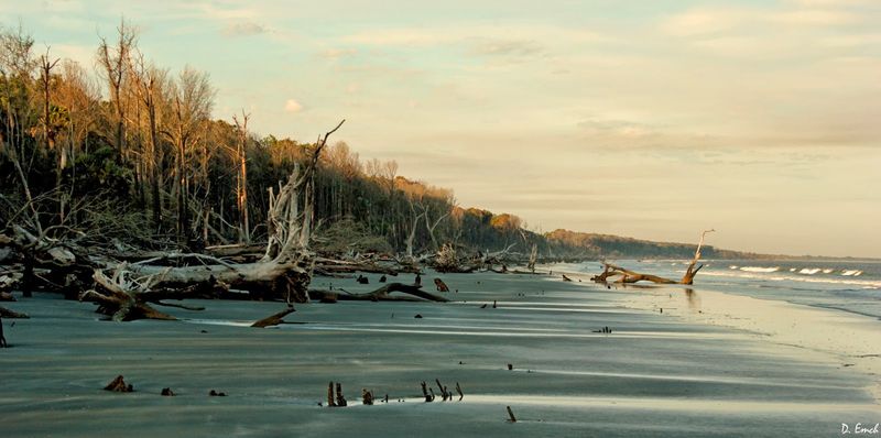 Capers Island: Pristine Nature Preserve with Primitive Camping