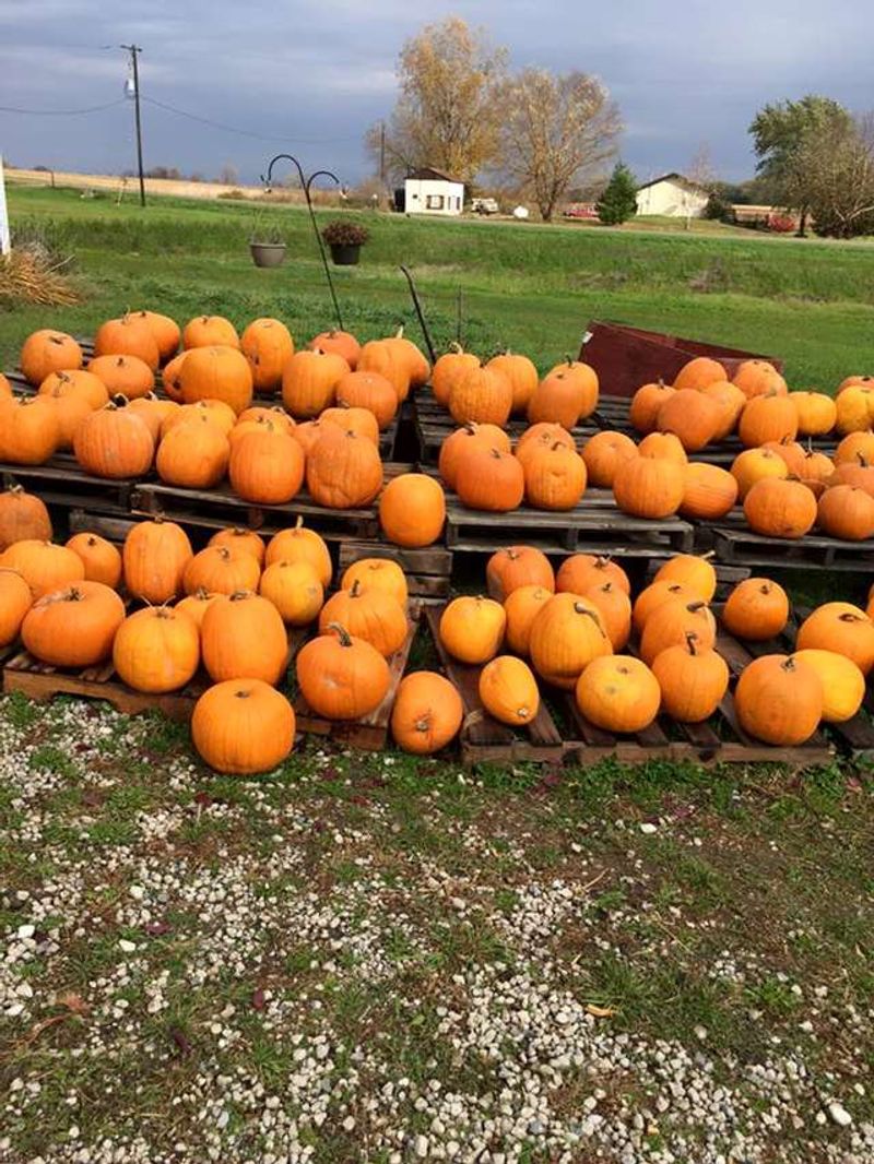 Overhiser Orchards