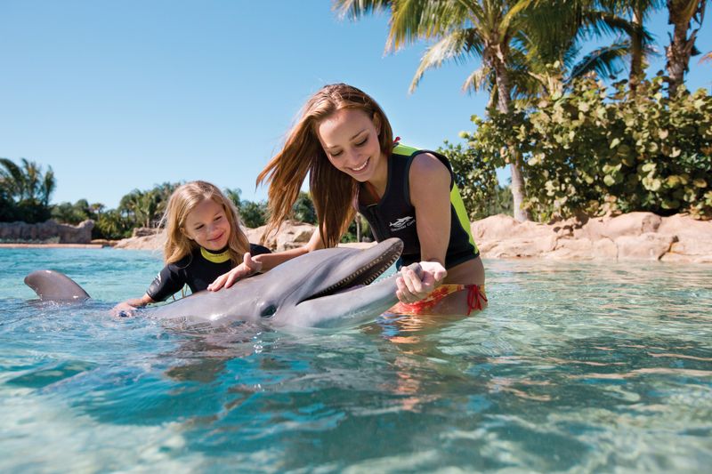 Discovery Cove (Orlando)