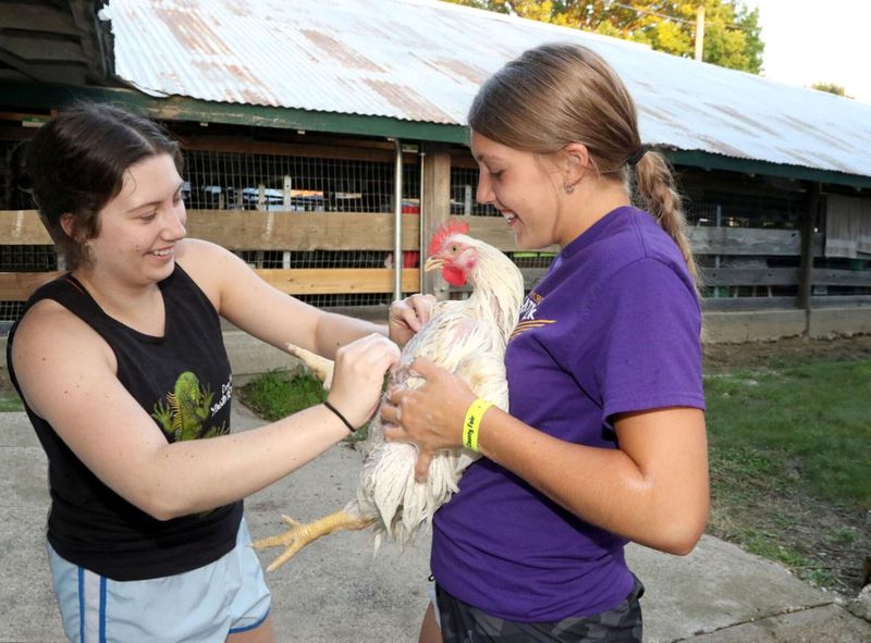 Carroll County Fair (Coon Rapids)
