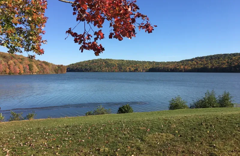 Picnic Spots Create Perfect Fall Gatherings