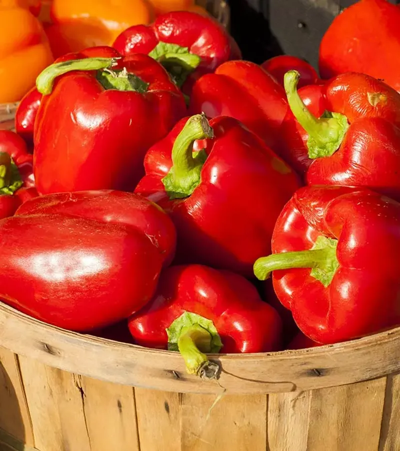 Ohio Red Bell Peppers Full of Collagen Boosters