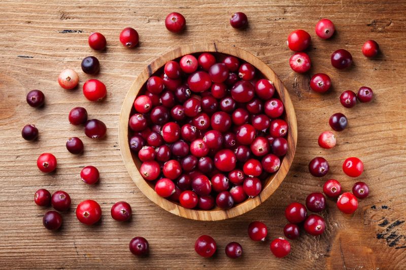 Massachusetts Cranberries for Skin Protection