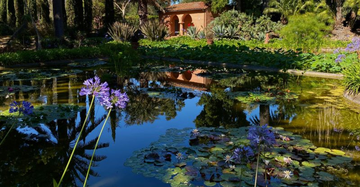 California’s Lotusland Showcases 37 Acres Of Extraordinary Gardens And Rare Plants