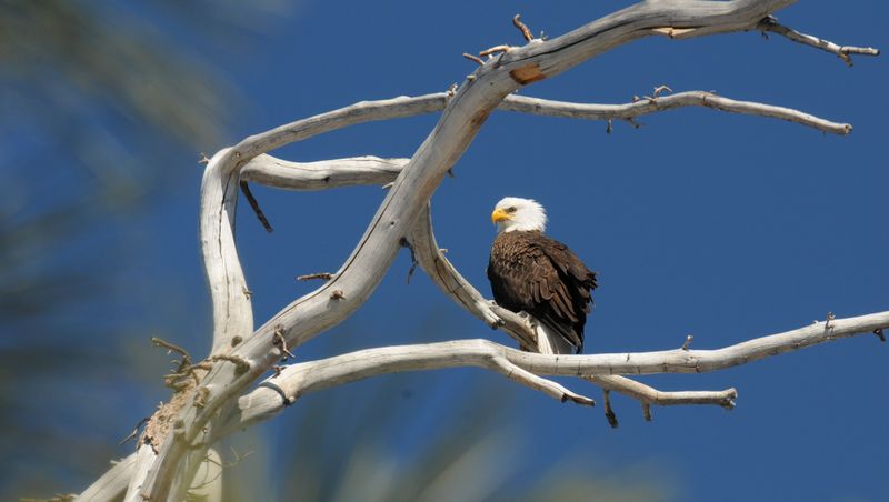 Wildlife Sanctuary