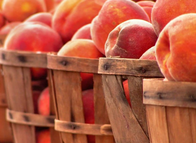 Peaches