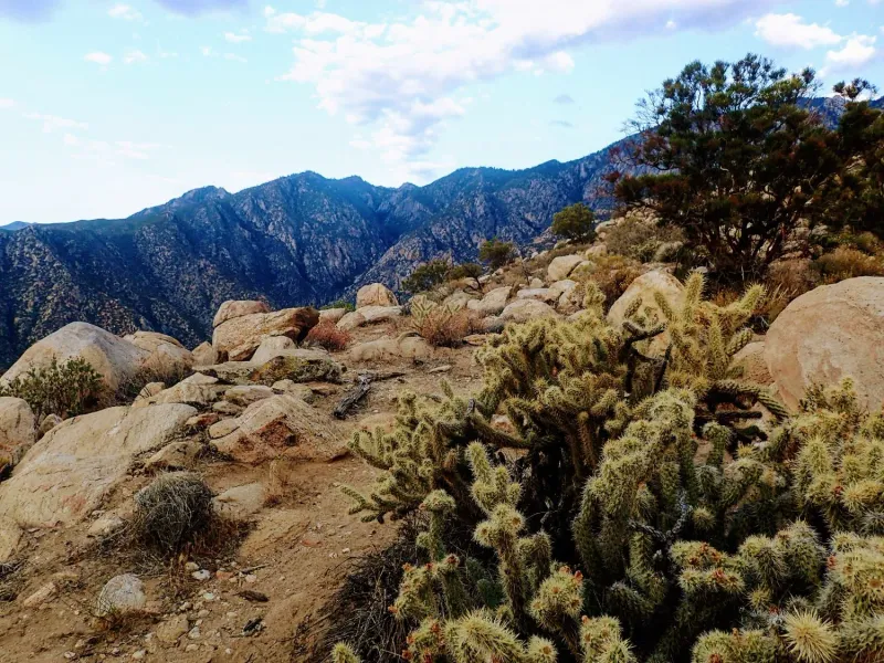 Cactus To Clouds (Skyline To San Jacinto) — California