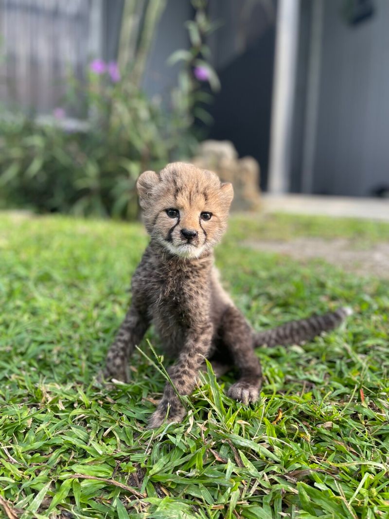 McCarthy Wildlife Sanctuary (West Palm Beach)