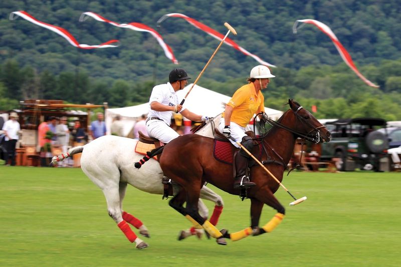 Experience Polo In The Countryside