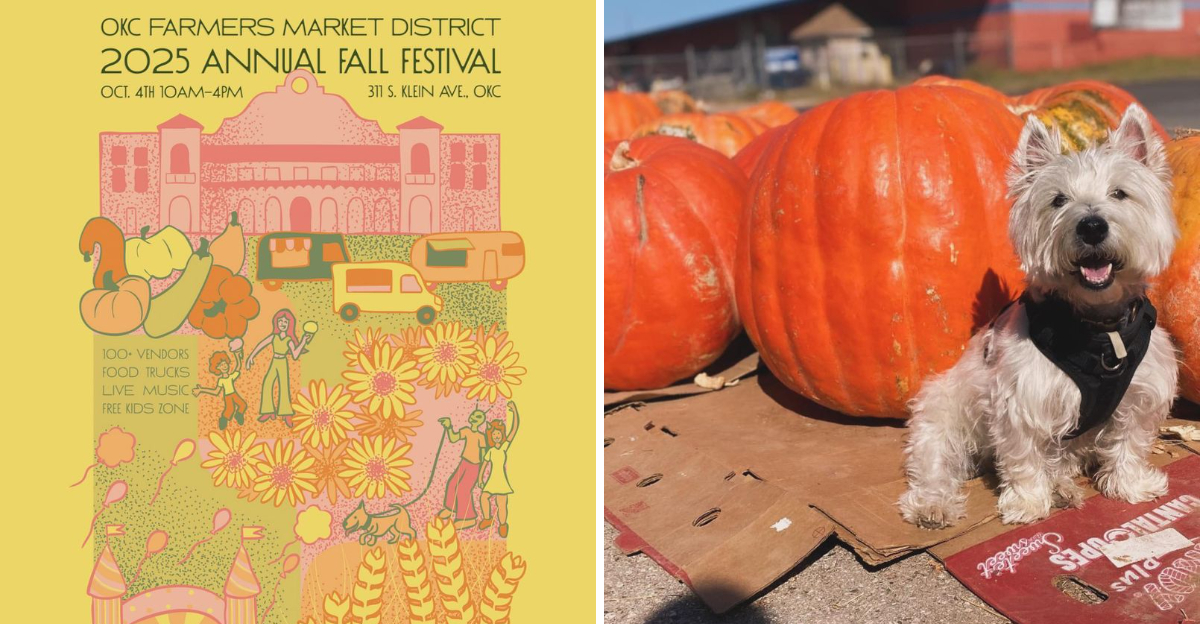 Celebrate Autumn At The Fall Festival At OKC Farmers Market In Oklahoma