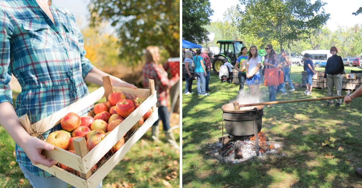 Celebrate Fall Flavor In Virginia With The Graves Mountain Apple Festival