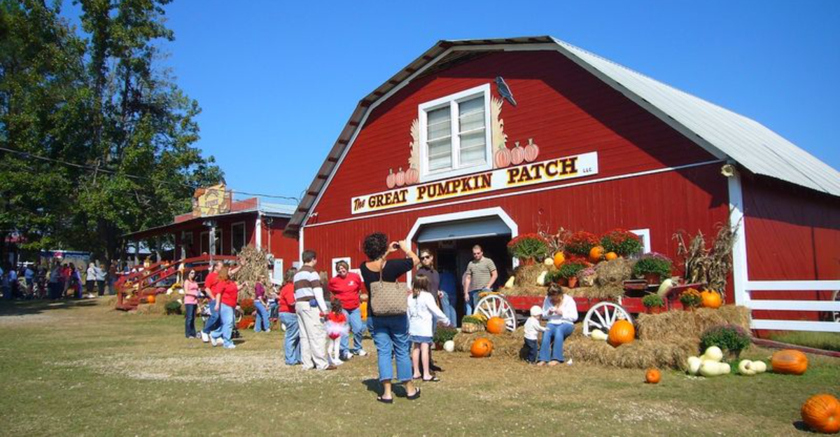 Celebrate The Spirit Of Fall At The Great Pumpkin Patch In Arthur, Illinois
