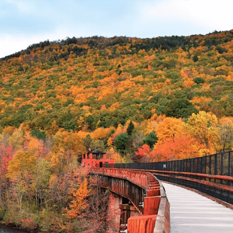 Southern Poconos: The Grand Finale of Fall