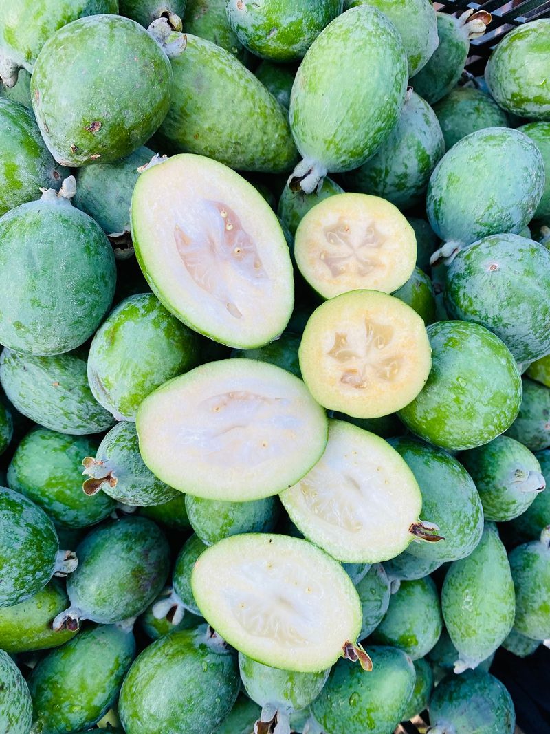 Feijoa (Pineapple Guava)
