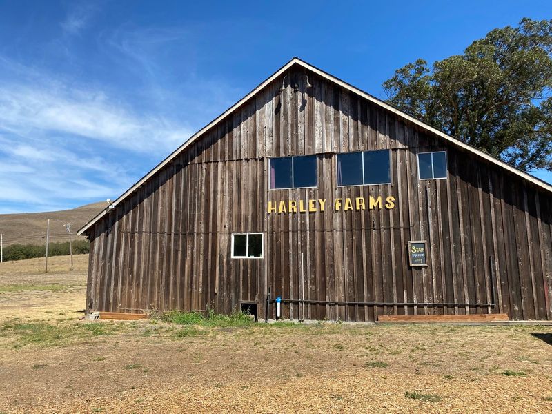 Harley Farms
