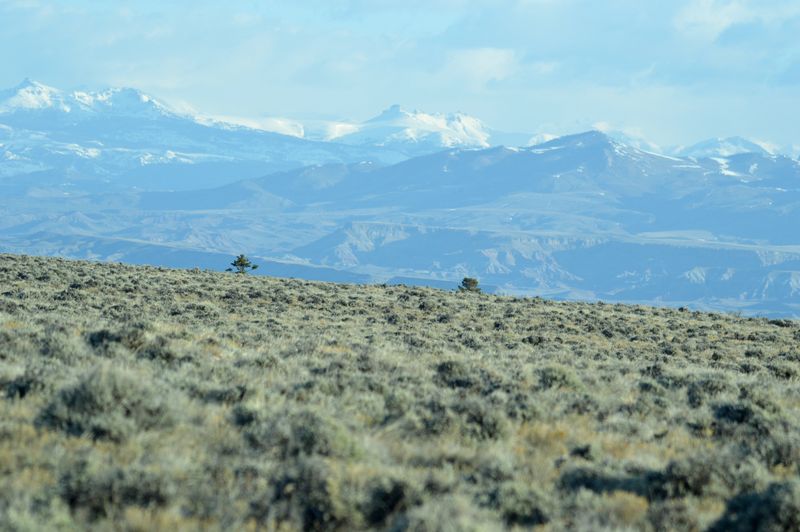 Actual Wind River Reservation