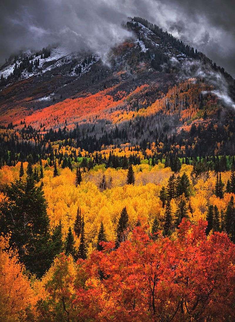 Utah's Wasatch Wonder