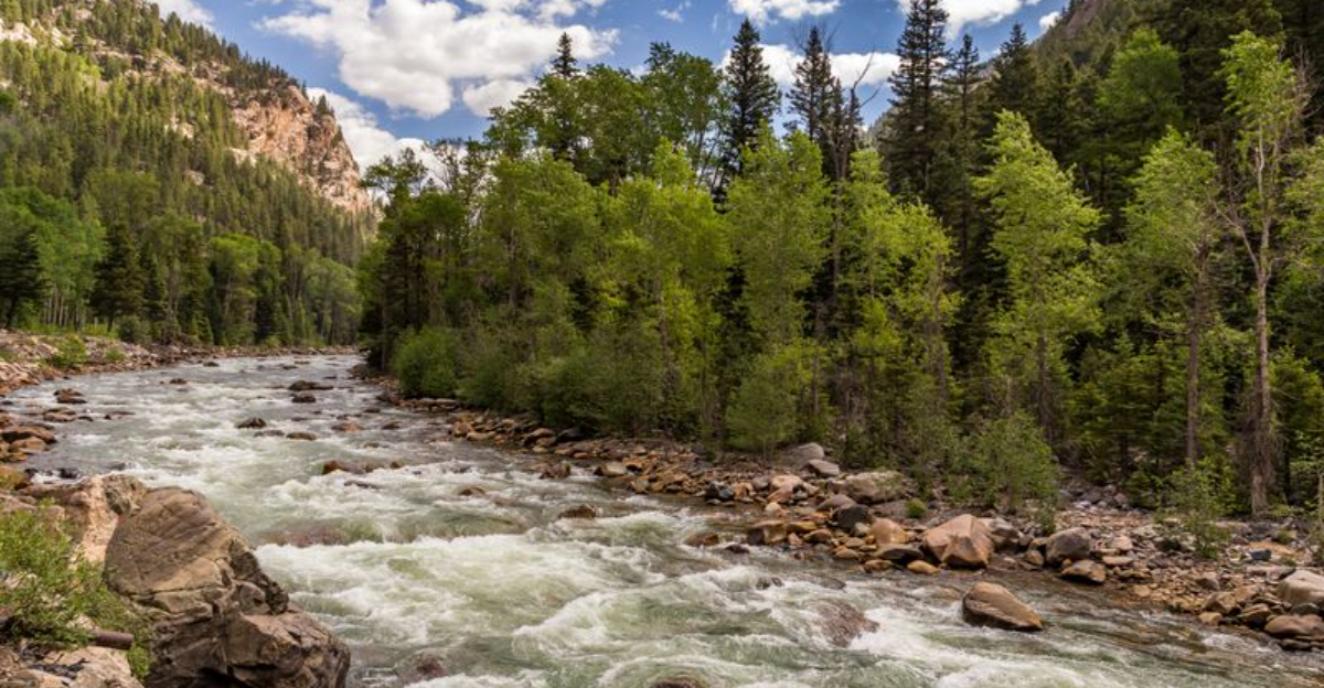Colorado’s San Juan Mountains Hide The Scenic Three Forks Of The Animas