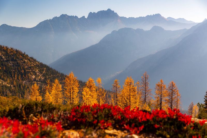 Washington Cascades' Alpine Artistry