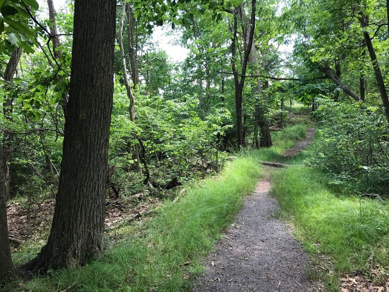 Lenape Trail