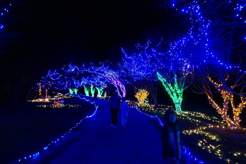 Magical Winter Light Show