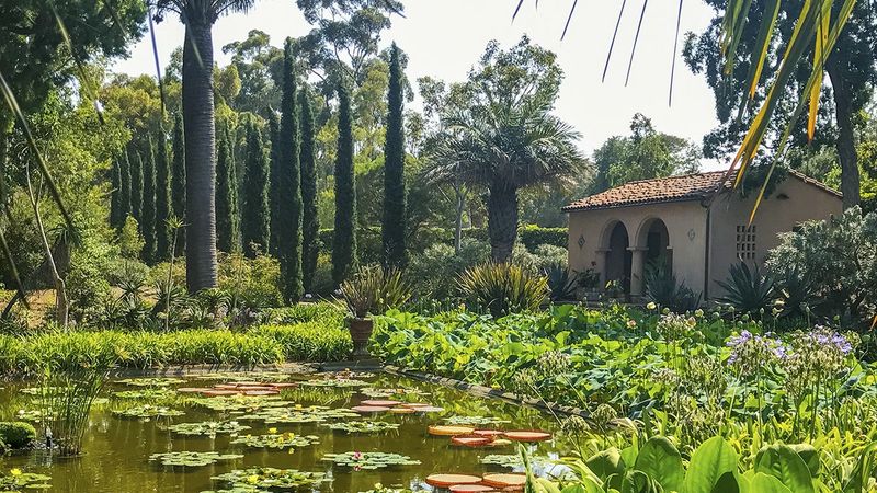 Visitor Experiences And Learning