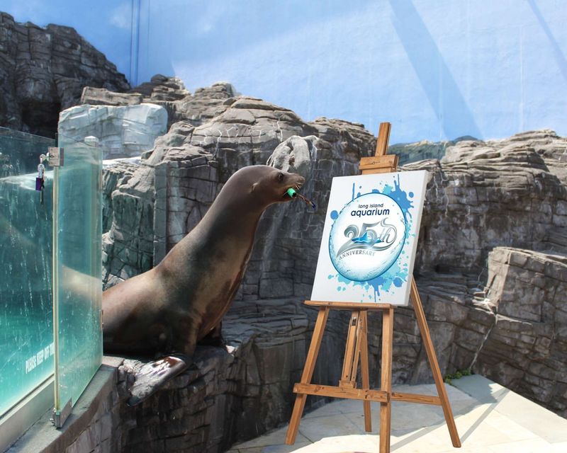 Playful Animal Ambassadors
