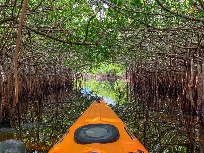 Everglades National Park (Miami-Dade County)