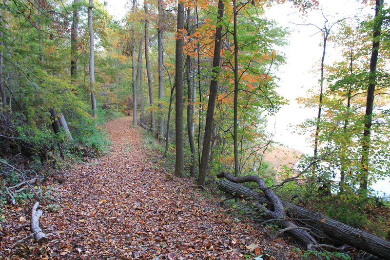 Scenic Trails Winding Through Nature