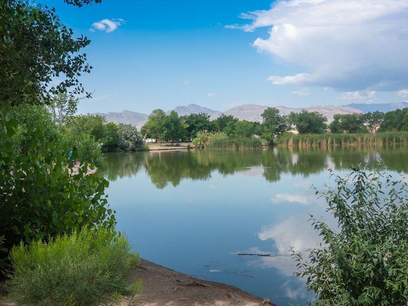 Stunning Desert Oasis Landscape