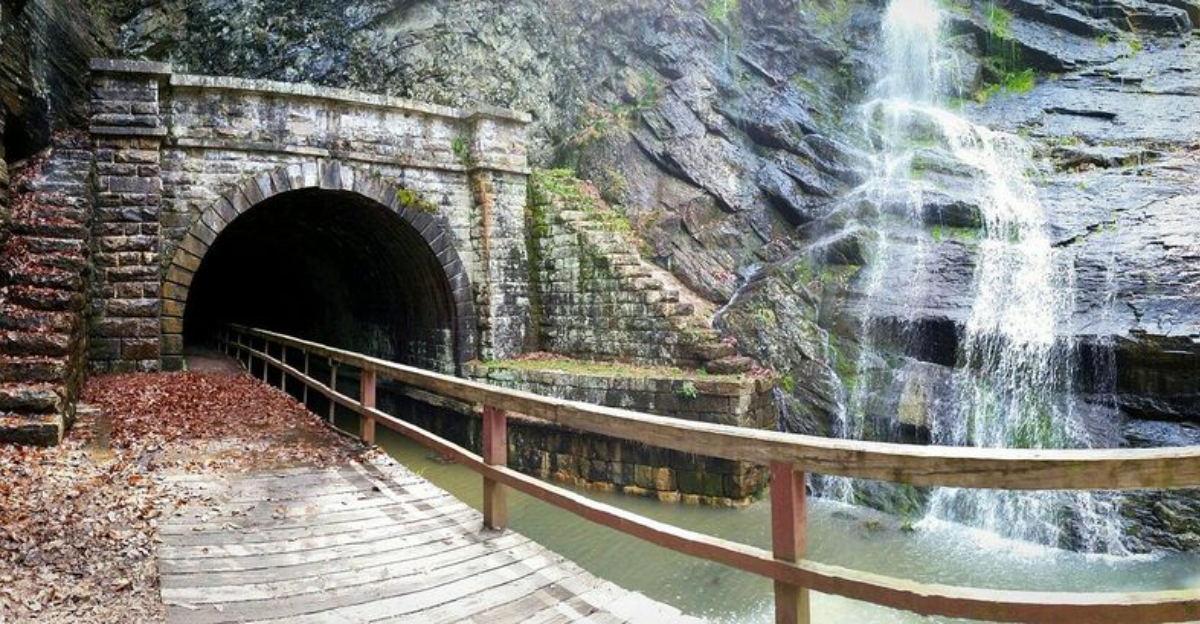 Dare To Explore The Creepy Paw Paw Tunnel Hike In Maryland