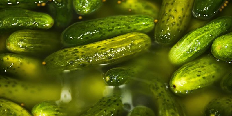 Pickles And World History