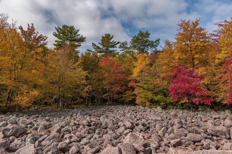 Planning Ahead: Weekly Foliage Forecasts