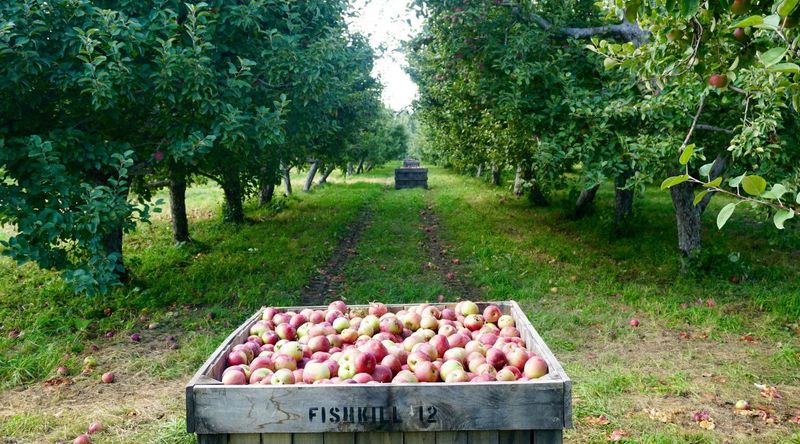 Fishkill Farms (New York)