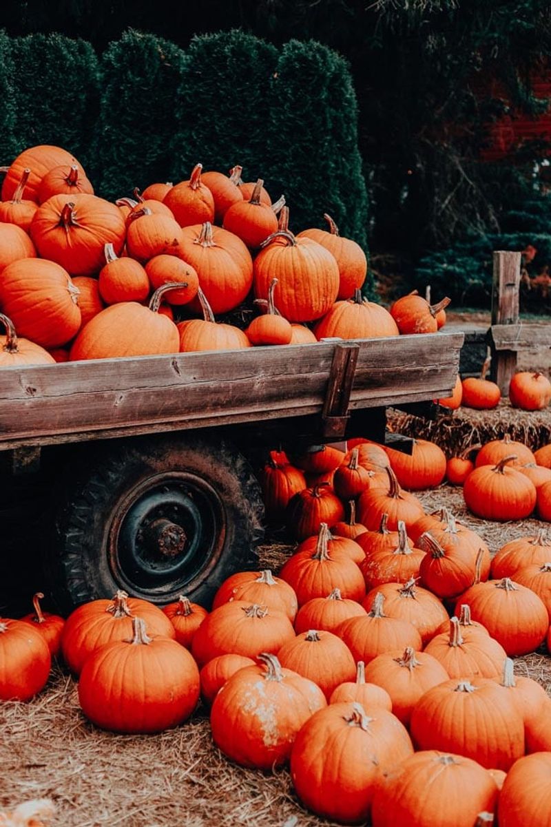 Kinman Farms