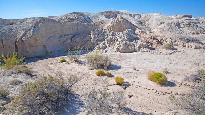 Ancient Origins of Tule Springs