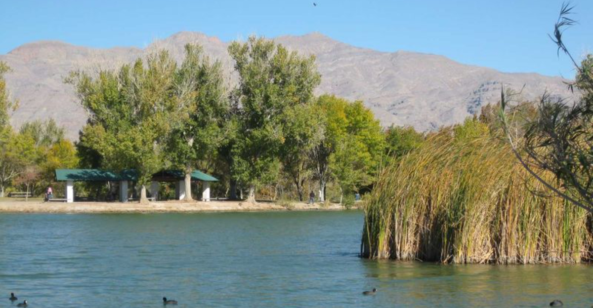 Discover The Natural Beauty Of Floyd Lamb Park At Tule Springs In Nevada