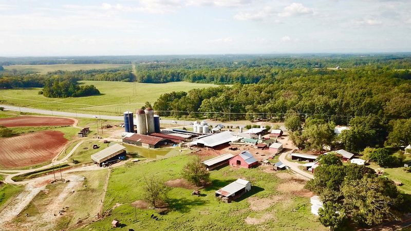 From Cotton to Corn Mazes: A 156-Year Legacy
