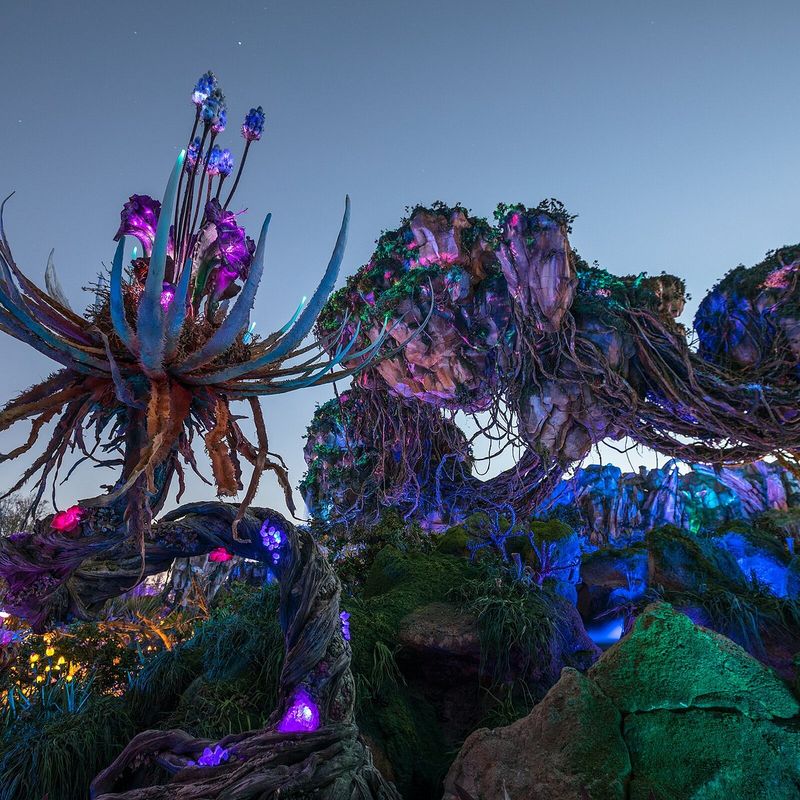 Disney’s Animal Kingdom