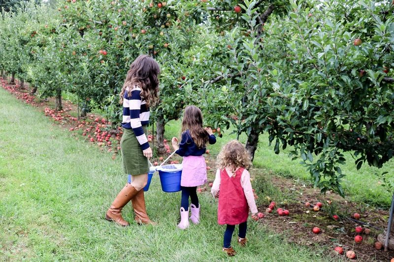 Drazen Orchards: Spectacular Valley Views