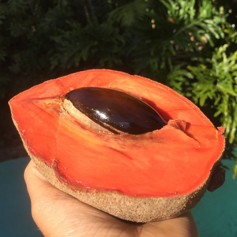 Mamey Sapote: The Tropical Pumpkin Pie