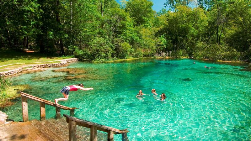 Florida’s Abundance Of Springs
