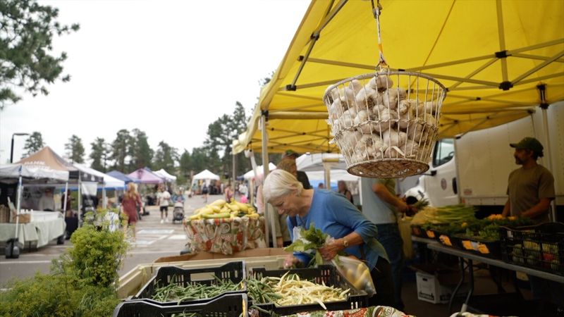 Evergreen Farmers' Market